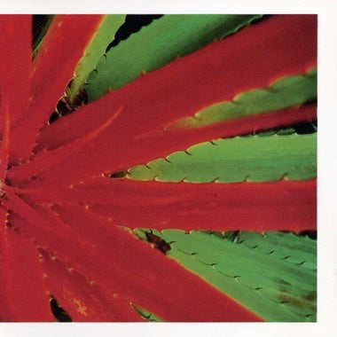 Jejune - This Afternoons Malady CD NEW