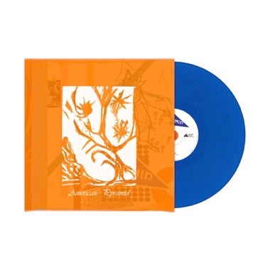 Graham Hunt - American Pyramid LP NEW COLOR VINYL Midwest Edition