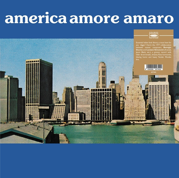 Remigio Ducros and Luciano Simoncini - America Amore Amaro LP NEW