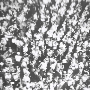 Michael Nau - Popfly LP NEW COLOR VINYL