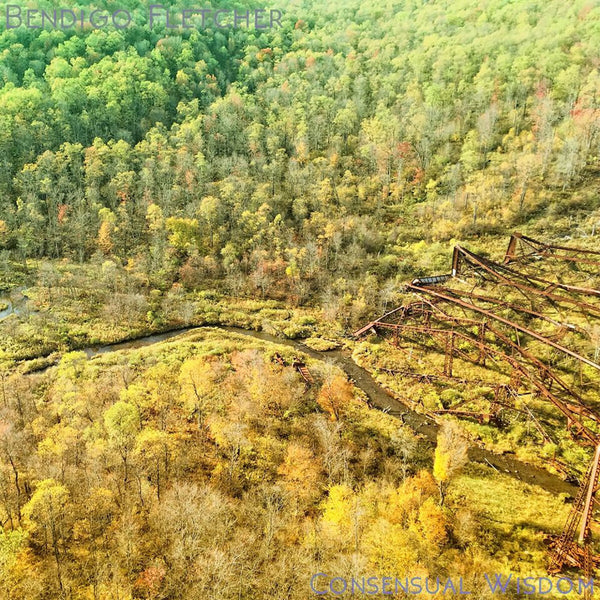 Bendigo Fletcher - Consensual Wisdom LP NEW