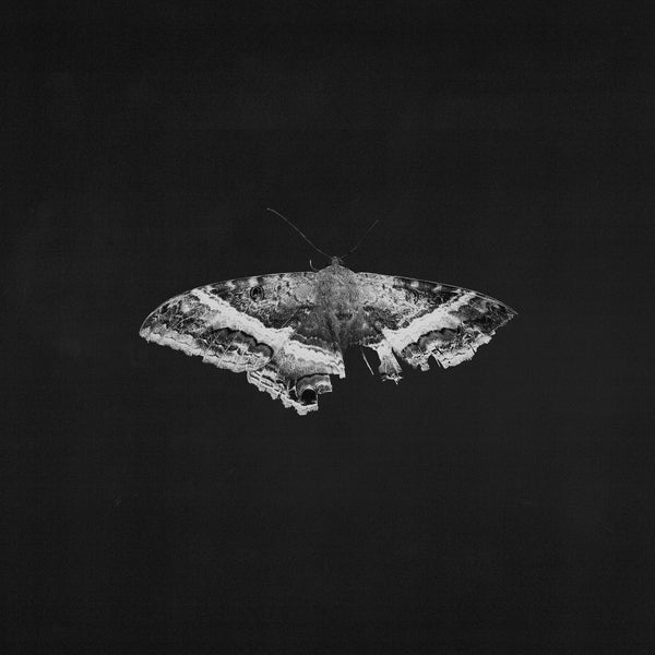 Kendrick Lamar - To Pimp A Butterfly 2LP NEW INDIE EXCLUSIVE