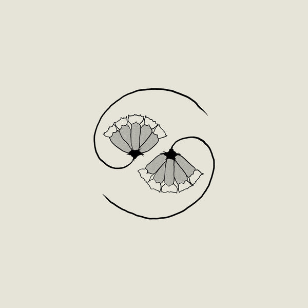 Godspeed You! Black Emperor - G_d’s Pee AT STATE’S END! CD NEW