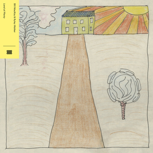 Bill MacKay & Ryley Walker - Land Of Plenty LP NEW