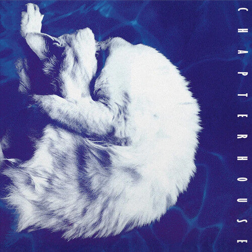 Chapterhouse - Whirlpool LP NEW