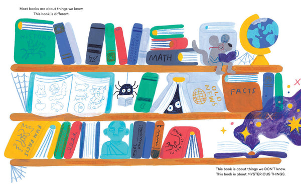 Mysterious Things (Invisible Things) by Andy J. Pizza, Sophie Miller