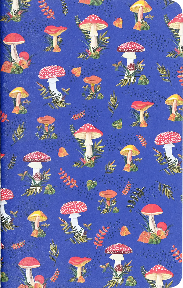 Jotter Mini Notebook Sets: Mushrooms