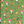 Jotter Mini Notebook Sets: Mushrooms