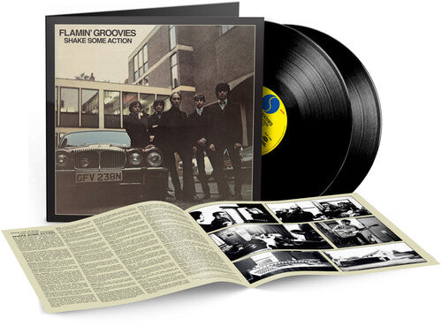 Flamin' Groovies - Shake Some Action 2LP NEW