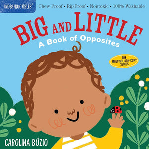 Indestructibles: Big and Little: A Book of Opposites: Chew Proof · Rip Proof · Nontoxic · 100% Washable (Book for Babies, Newborn Books, Safe to Chew) by Amy Pixton, Carolina Búzio 9781523511143