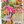 Mushroom Medley Journal 09781441343932