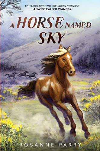 New Book A Horse Named Sky (A Voice of the Wilderness Novel) 9780062995957