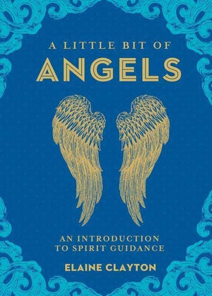 New Book A Little Bit of Angels by Elaine Clayton 9781454928713