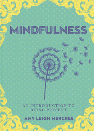 New Book A Little Bit of Mindfulness by Amy Leigh Mercree 9781454932246