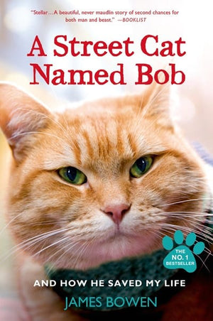 New Book A Street Cat Named Bob and How He Saved My Life  - Bowen, James - Paperback 9781250048677