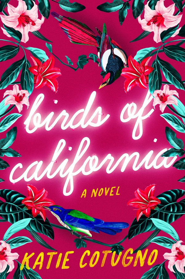 New Book Birds of California: A Novel  - Paperback 9780063159143