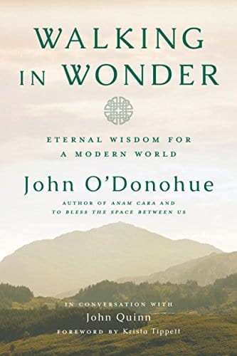 New Book Default Title / Hardcover Walking in Wonder: Eternal Wisdom for a Modern World - Hardcover 9780525575283
