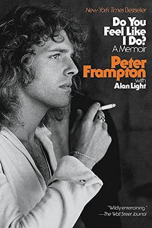 New Book Do You Feel Like I Do?: A Memoir  - Paperback 9780316425346