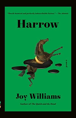 New Book Harrow: A novel (Vintage Contemporaries) - Williams, Joy - Paperback 9781984898807