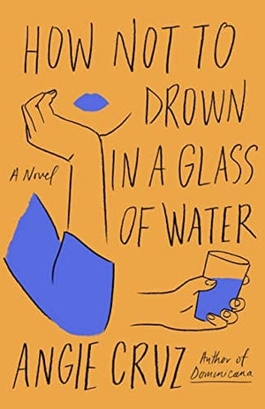 New Book How Not to Drown in a Glass of Water: A Novel 9781250208453