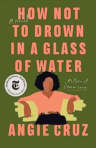 New Book How Not to Drown in a Glass of Water: A Novel - Cruz, Angie - Paperback 9781250208460