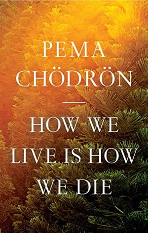 New Book How We Live Is How We Die 9781611809244