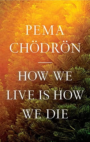 New Book How We Live Is How We Die 9781611809244