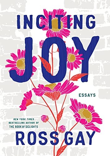 New Book Inciting Joy: Essays 9781643753041
