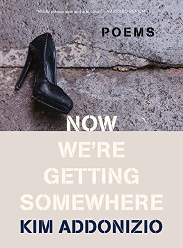 New Book Now We're Getting Somewhere: Poems - Addonizio, Kim 9781324021940