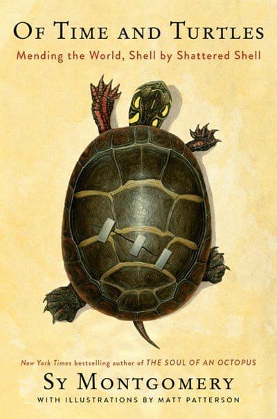 New Book Of Time and Turtles: Mending the World, Shell by Shattered Shell - Montgomery, Sy - Hardcover 9780358458180