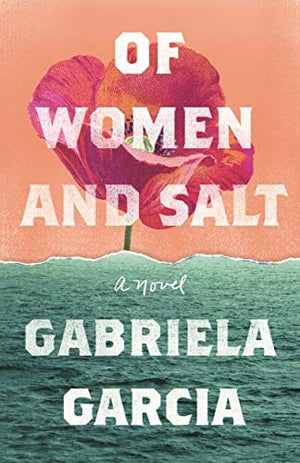New Book Of Women and Salt 9781250776686