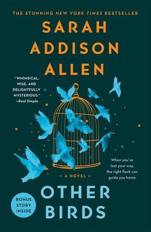 New Book Other Birds - Allen, Sarah Addison - Paperback 9781250019875