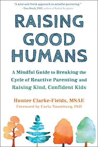 New Book Raising Good Humans: A Mindful Guide to Breaking the Cycle of Reactive Parenting and Raising Kind, Confident Kids  - Paperback 9781684033881