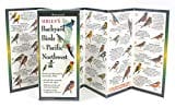 New Book Sibley's Back. Birds of Pacific Northwest (Foldingguides) 9781621261193