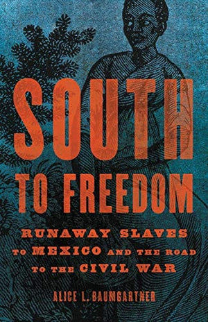 New Book South to Freedom: Runaway Slaves to Mexico and the Road to the Civil War - Hardcover 9781541617780