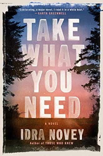 New Book Take What You Need: A Novel - Novey, Idra - Hardcover 9780593652855