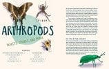 New Book The Animal Adventurer's Guide: How to Prowl for an Owl, Make Snail Slime, and Catch a Frog Bare-Handed--50 Acti Vities to Get Wild with Animals - Spikol, Susie 9781611809534