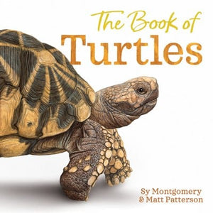 New Book The Book of Turtles 9780358458074