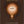 New Book The City of Ember (The City of Ember Book 1)  - Paperback 9780375822742