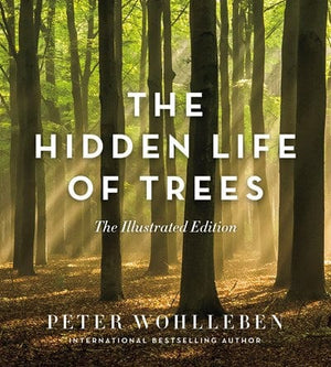 New Book The Hidden Life of Trees: The Illustrated Edition - Hardcover 9781771643481
