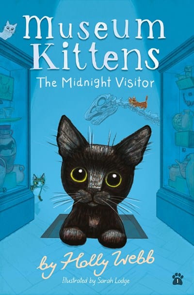 New Book The Midnight Visitor 9781680104851