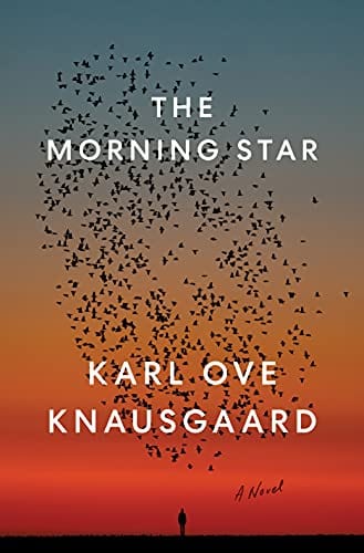 New Book The Morning Star: A Novel - Hardcover 9780399563423