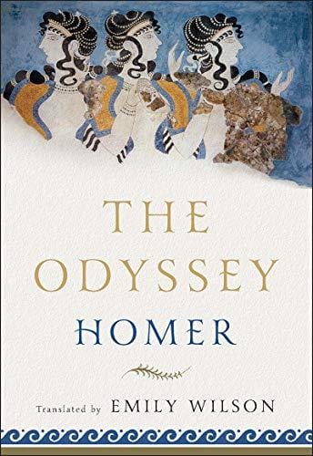 New Book The Odyssey  - Paperback 9780393356250