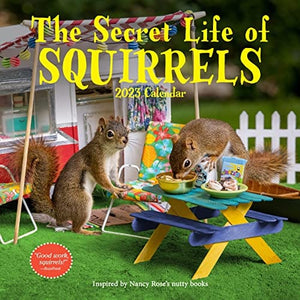 New Book The Secret Life of Squirrels Wall Calendar 2023 9781523516049