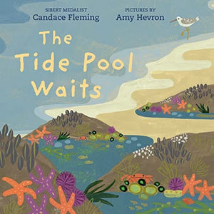 New Book The Tide Pool Waits - Fleming, Candace - Hardcover 9780823449156