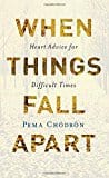 New Book When Things Fall Apart: Heart Advice for Difficult Times (Anniversary)  - Paperback 9781611803433