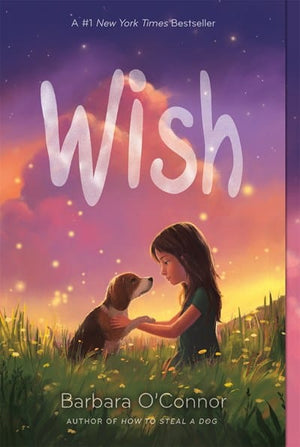 New Book Wish  - Paperback 9781250144058