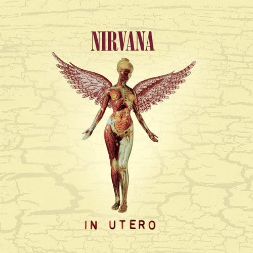 NEW CDs Nirvana - In Utero (20th Anniversary Edition) CD NEW NCD00031