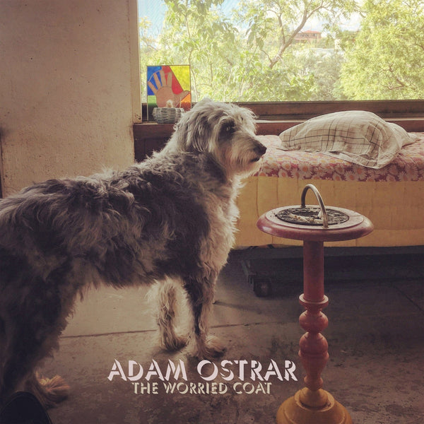 New Vinyl Adam Ostrar - The Worried Coat LP NEW 10024428