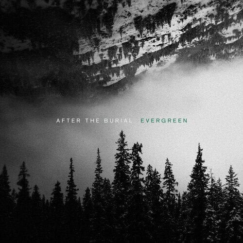 New Vinyl After The Burial - Evergreen LP NEW 10016077